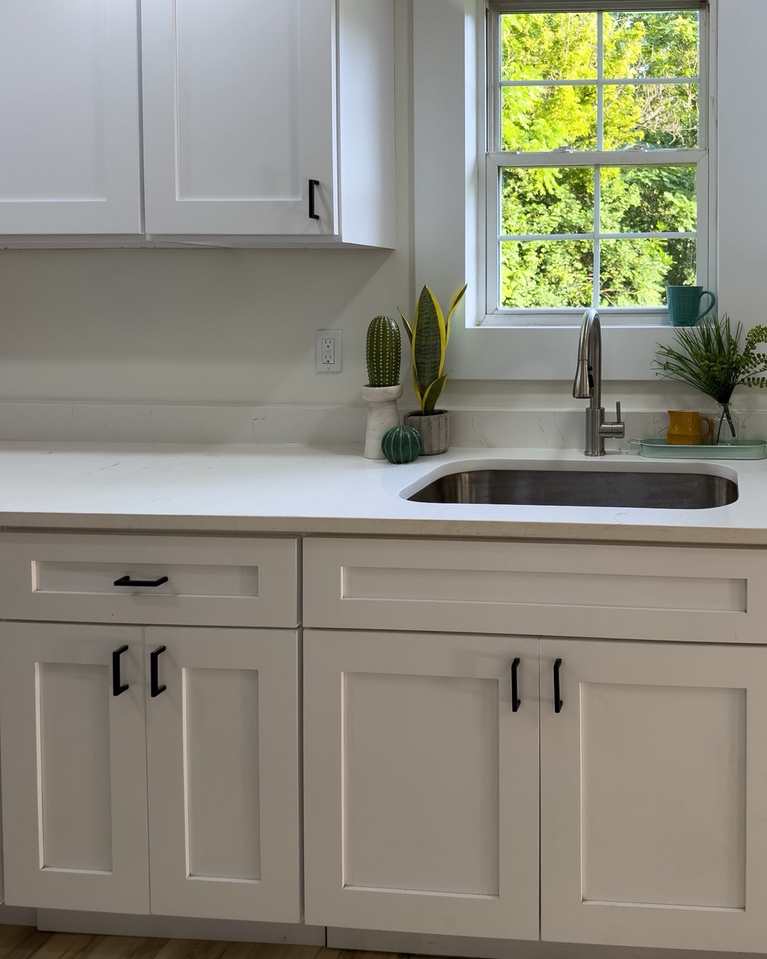 Kitchen cabinets and counters
