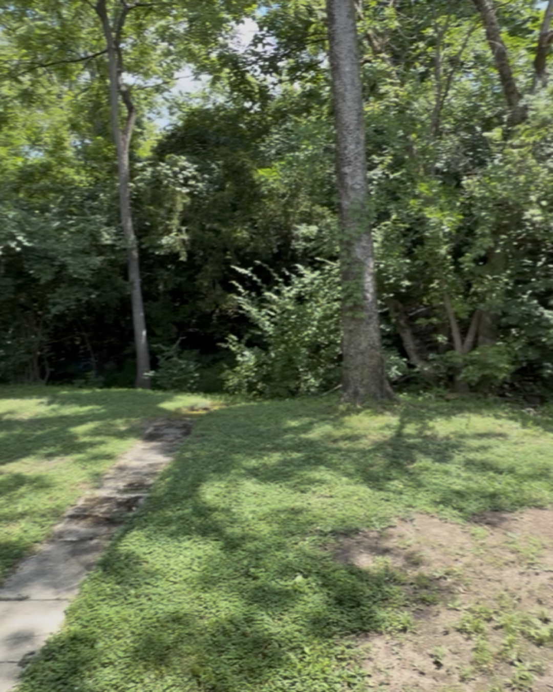 Back of the house, second angle